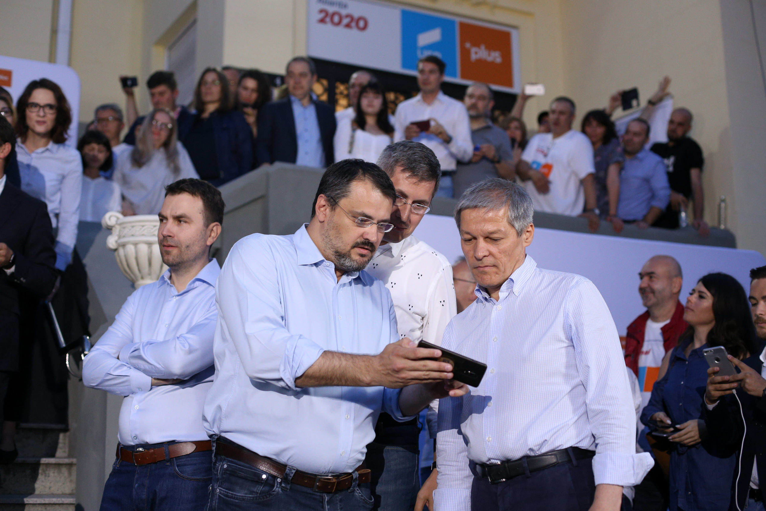 ghinea, ciolos, barna