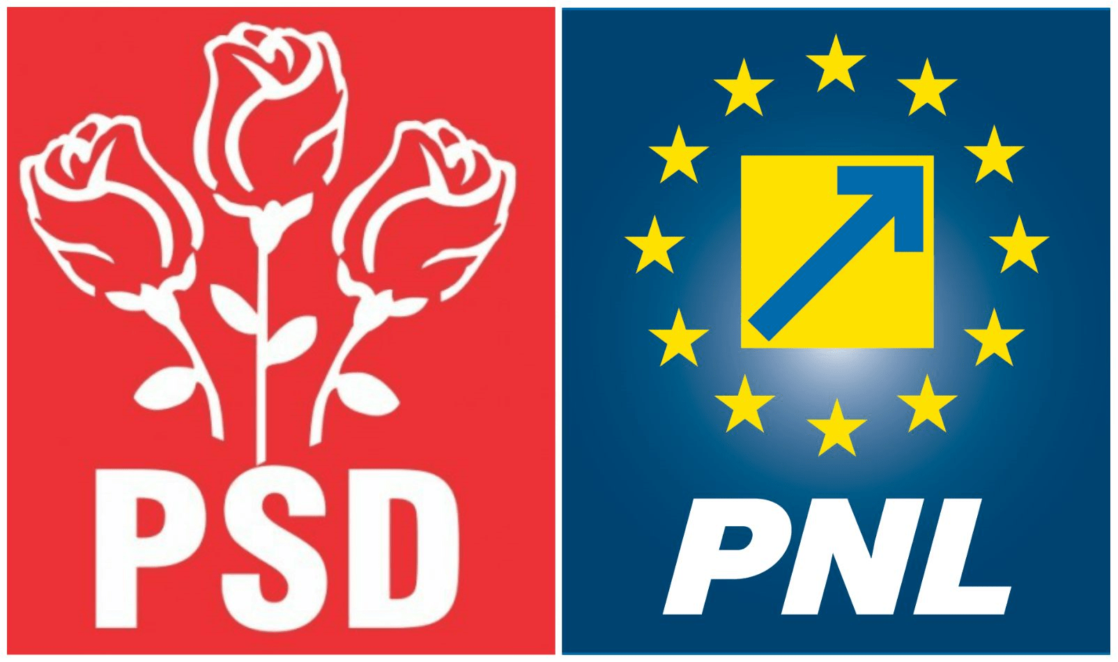 psd-pnl