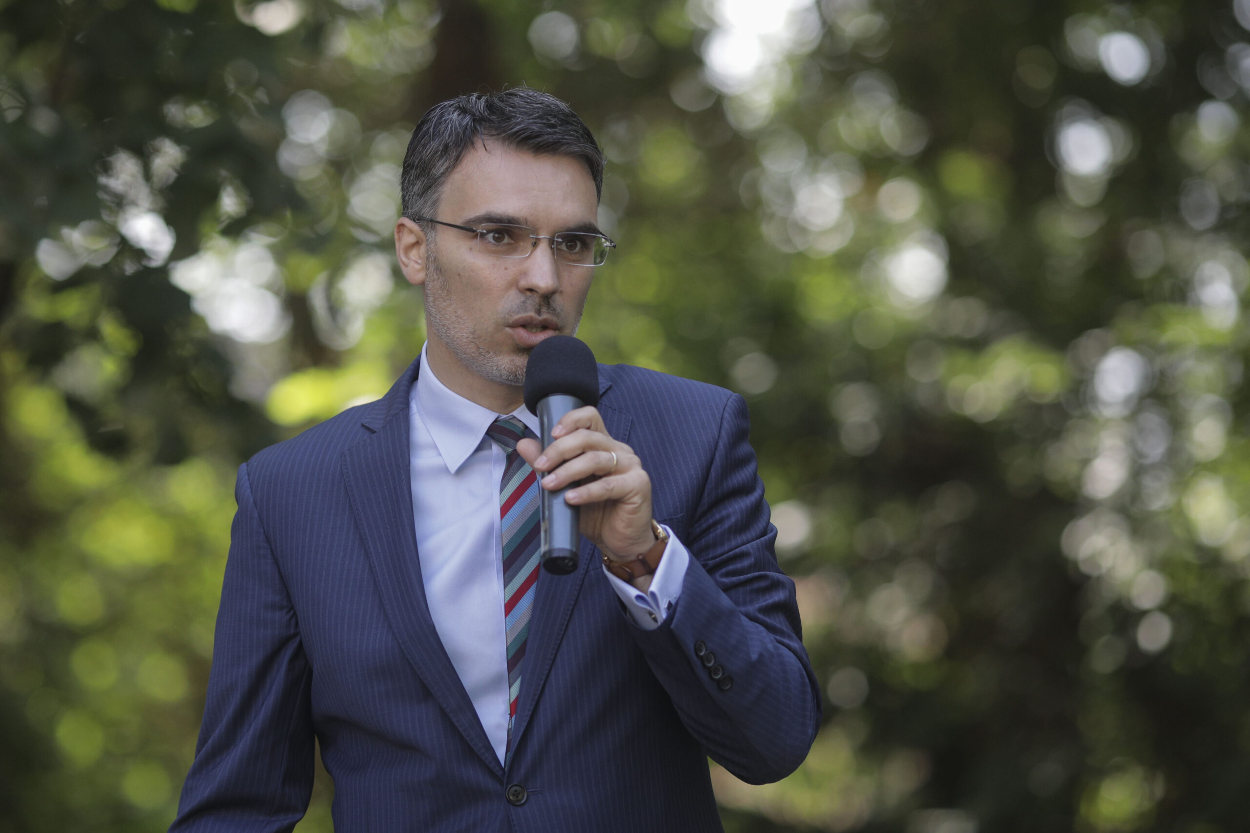 Remus Ștefureac, politolog