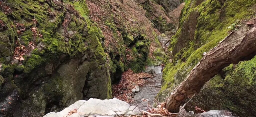 Parcul Național Cozia