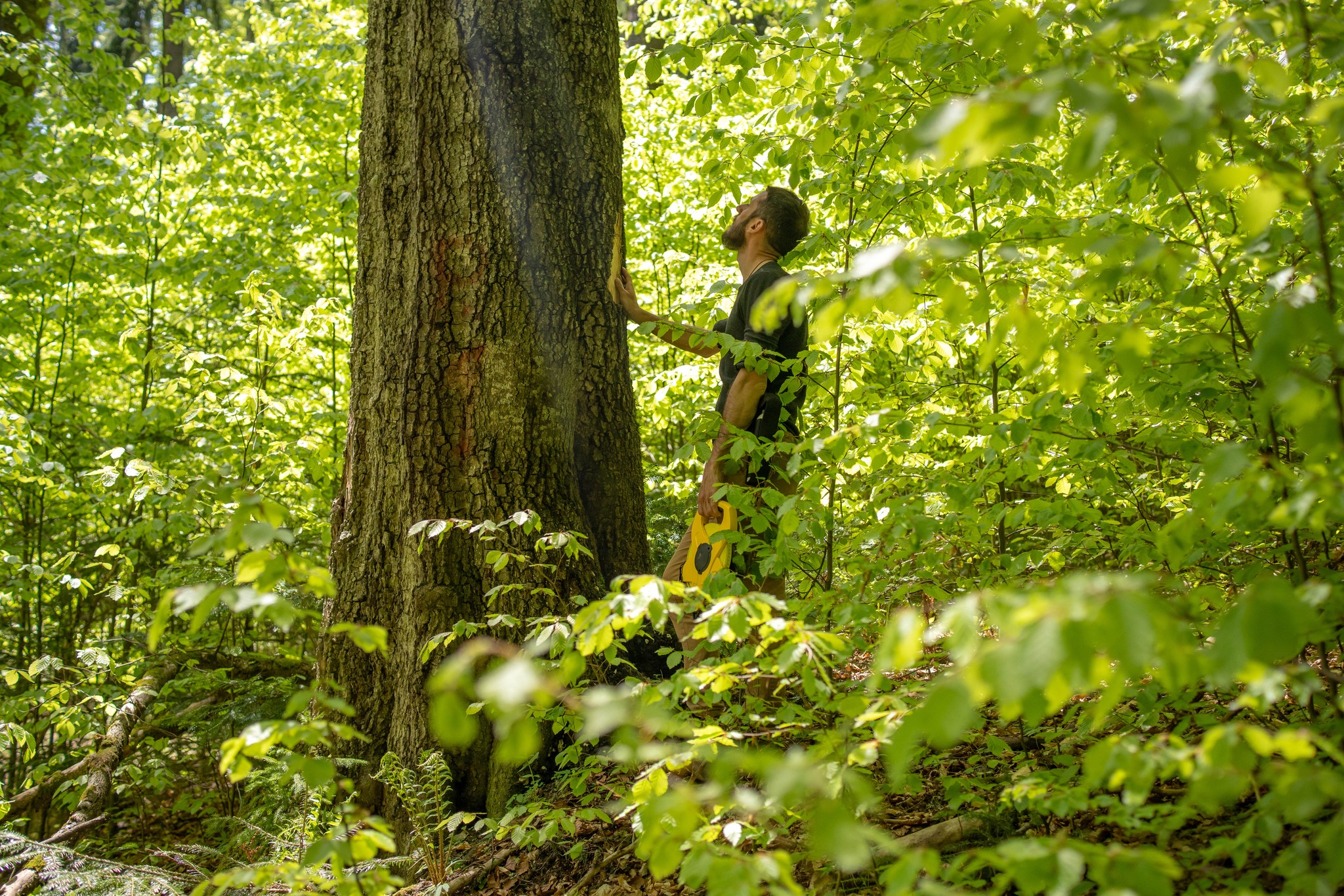 Foto: Green Peace Facebook