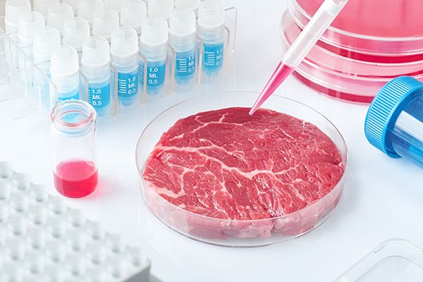 carne artificiala