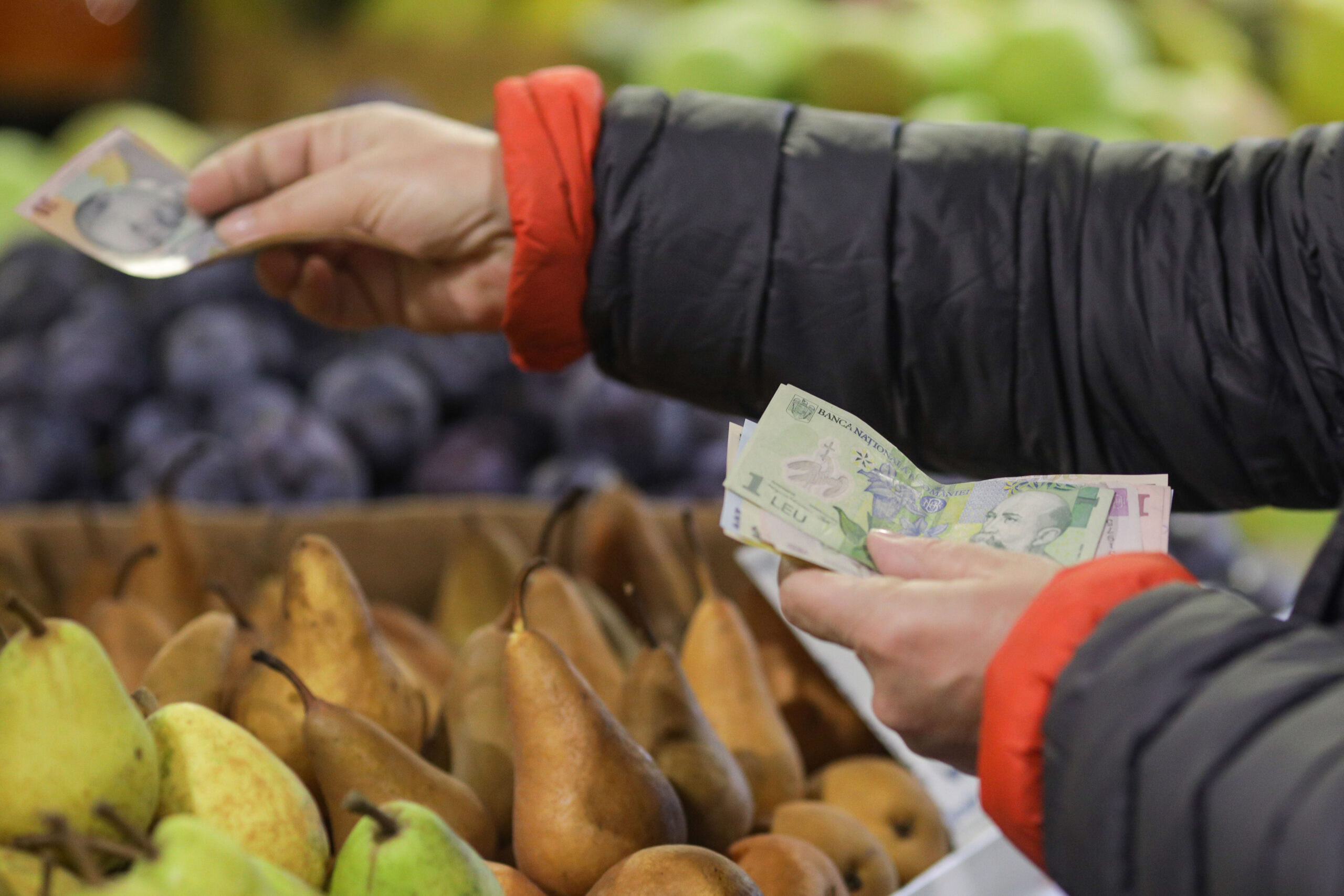 cumparaturi piata alimente alimentar pietari lei 10 lei bancnota cumparator cumparaturi finante financiar cos zilnic mancare salariu pensie