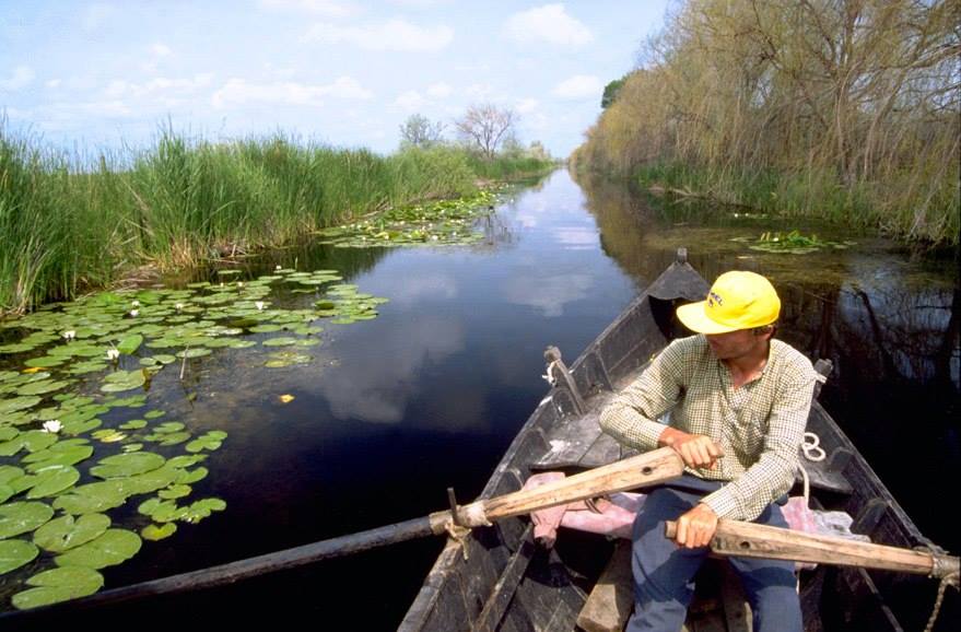 facebook / delta dunarii pentru toti
